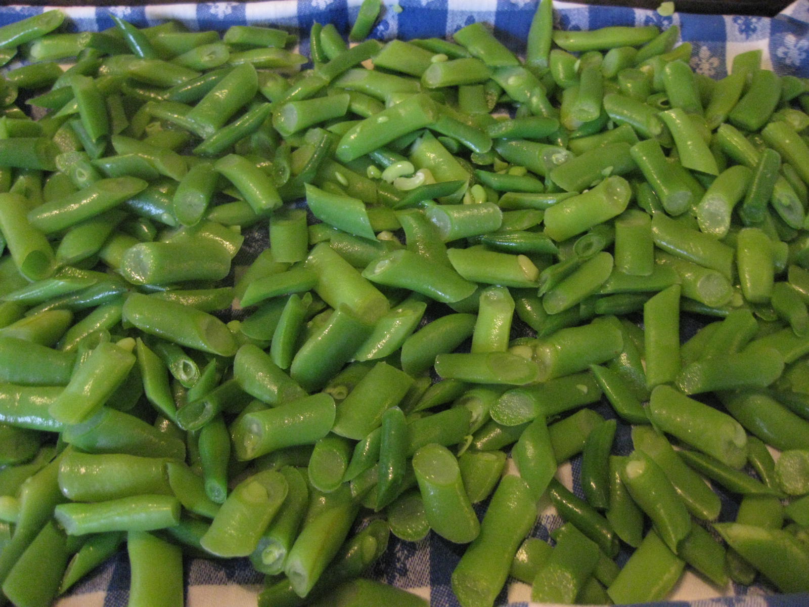 Preserving Green Beans in the Freezer for Food Storage