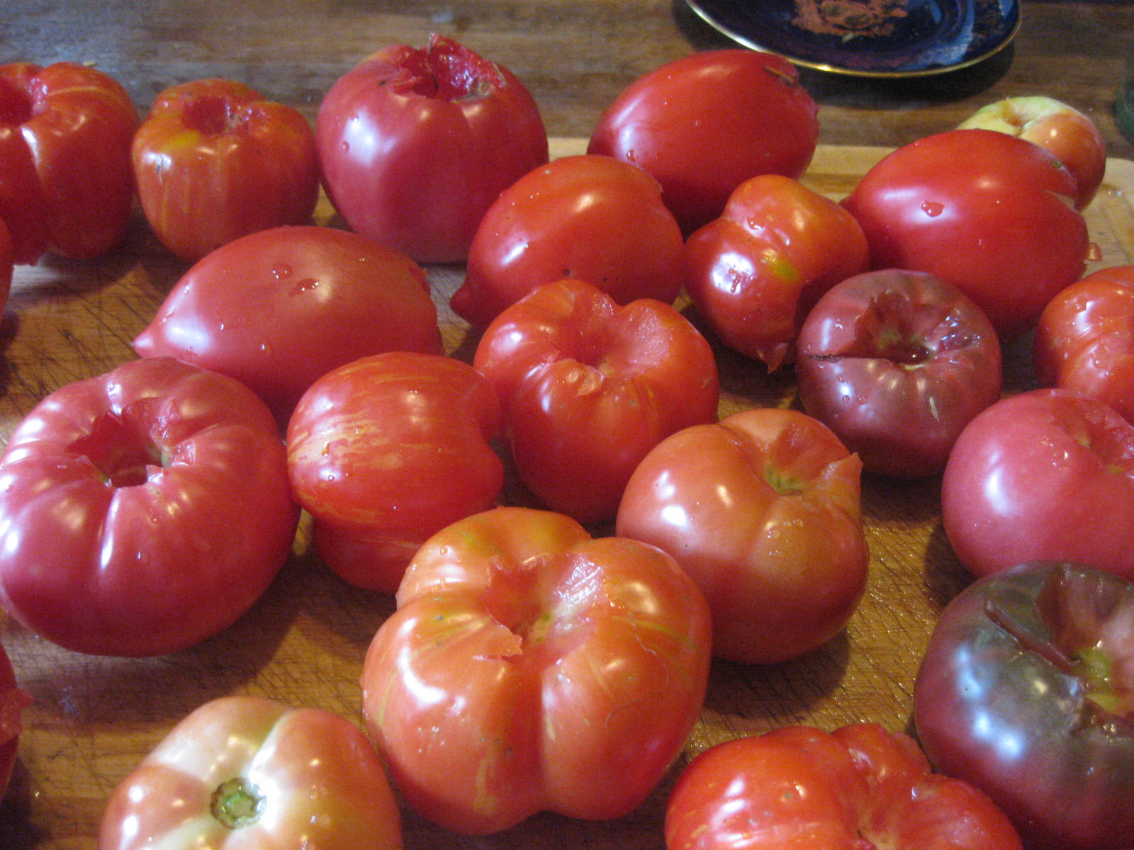 Don tomato. Томат Дон Жуан. Семена томата Дон Жуан. Помидоры сорт Дон Жуан. Дон Педро помидоры.