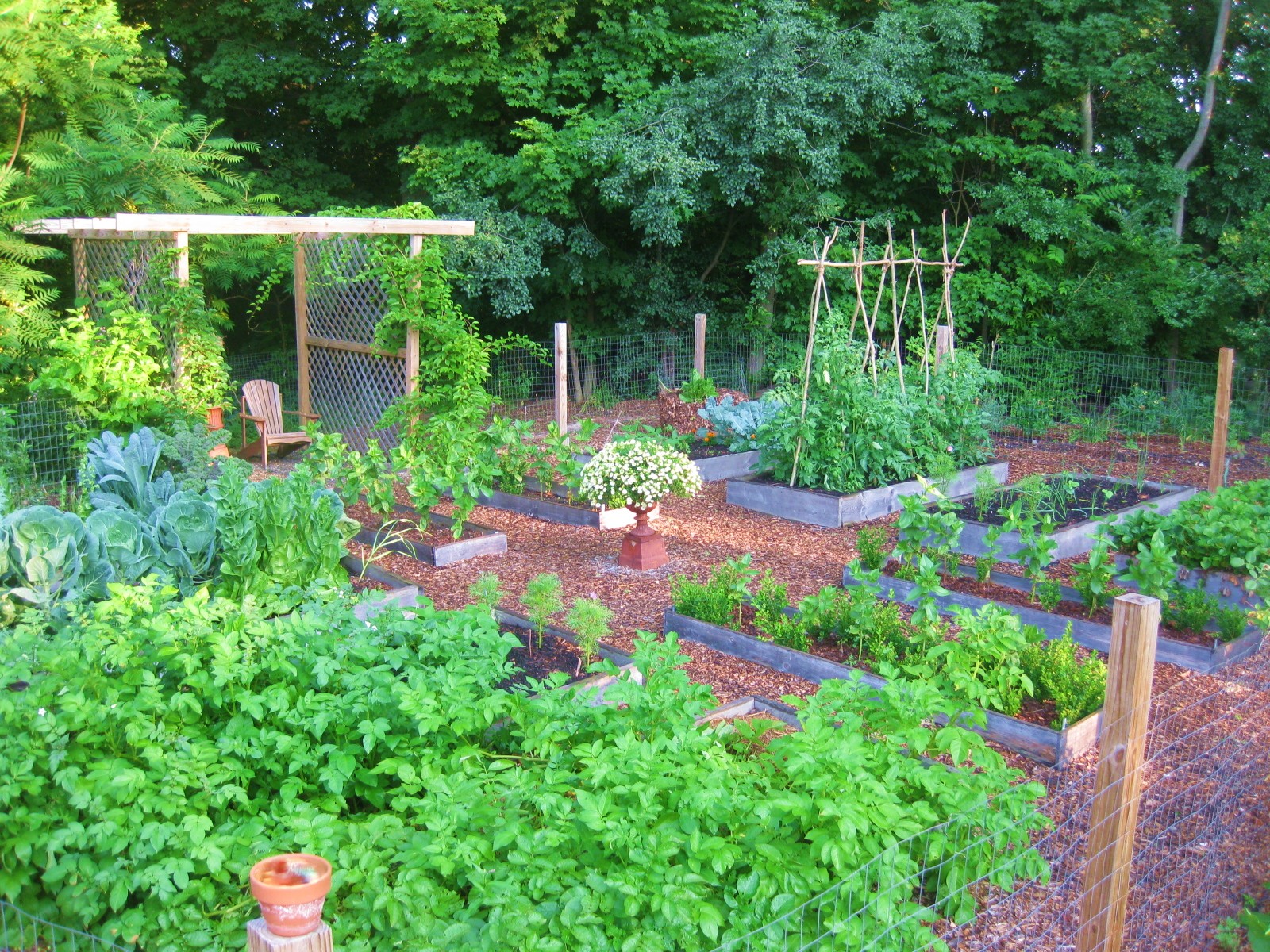 design your kitchen garden