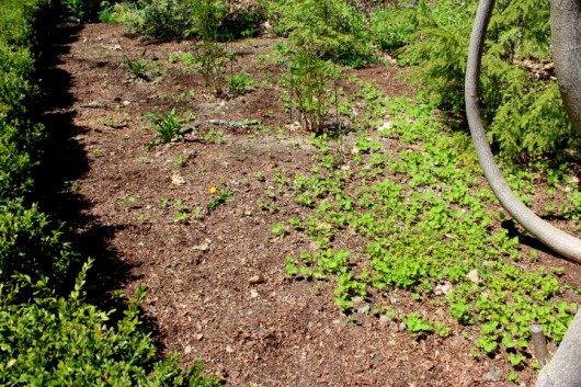 Achieve a Weed-Free Garden with Woven Weed Mat Ground Cover