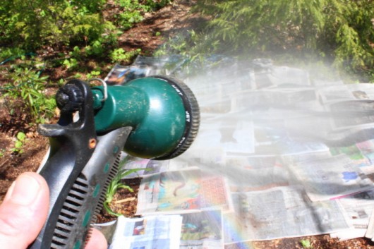 spray the newspaper with water 